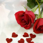 roses_flowers_two_red_heart_love_22706_300x188